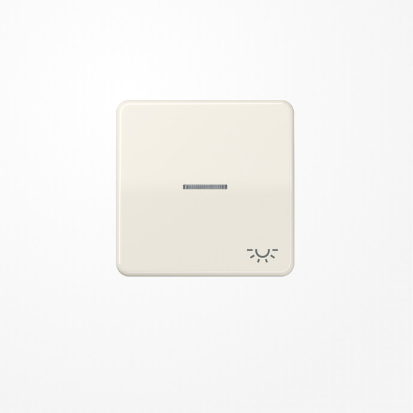 Jung CD590KO5L Wippe mit Lichtleiter, Symbol Licht, Duroplast, Serie CD, weiß