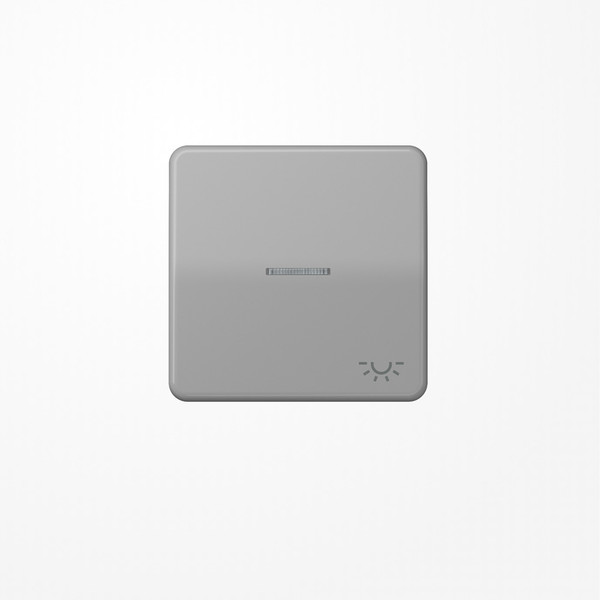 Jung CD590KO5LGR Wippe mit Lichtleiter, Symbol Licht, Duroplast, Serie CD, grau