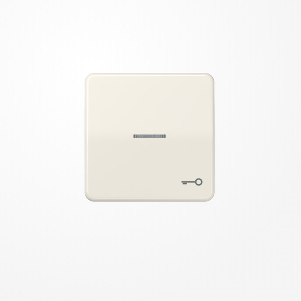 Jung CD590KO5T Wippe mit Lichtleiter, Symbol Tür, Duroplast, Serie CD, weiß