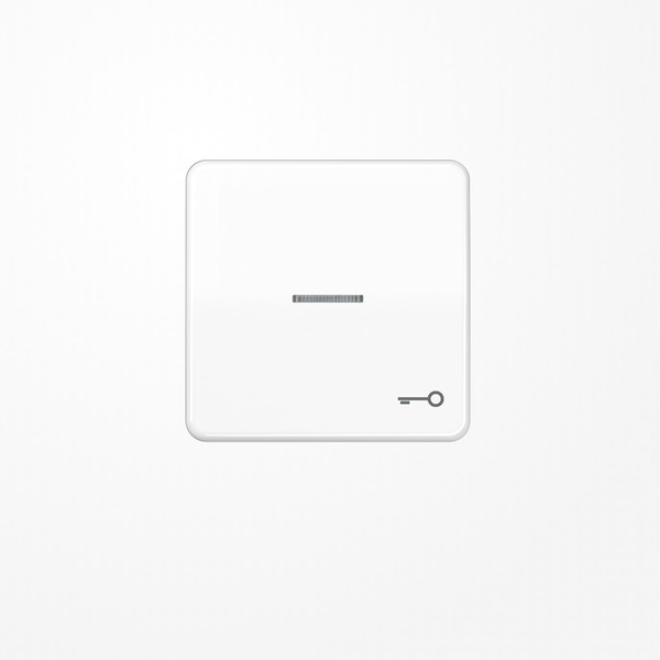 Jung CD590KO5TWW Wippe mit Lichtleiter, Symbol Tür, Duroplast, Serie CD, alpinweiß