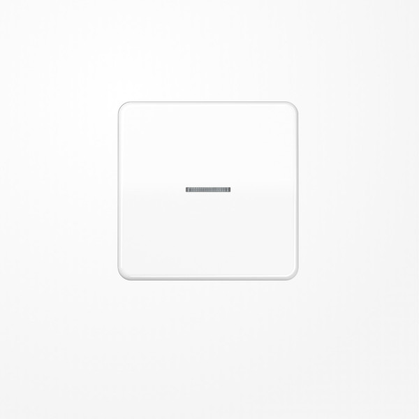 Jung CD590KO5WW Wippe mit Lichtleiter, Duroplast, Serie CD, alpinweiß