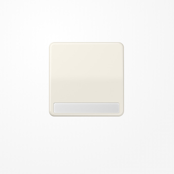 Jung CD590NA Wippe, mit Schriftfeld, Duroplast, Serie CD, weiß