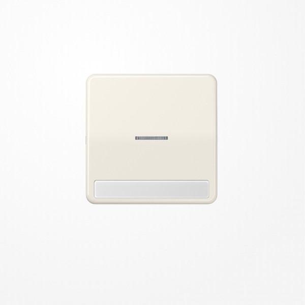 Jung CD590NAKO5 Wippe mit Lichtleiter, mit Schriftfeld, Duroplast, Serie CD, weiß