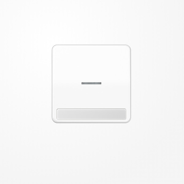 Jung CD590NAKO5WW Wippe mit Lichtleiter, mit Schriftfeld, Duroplast, Serie CD, alpinweiß