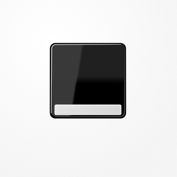 Jung CD590NASW Wippe, mit Schriftfeld, Duroplast, Serie CD, schwarz