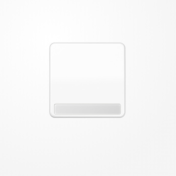 Jung CD590NAWW Wippe, mit Schriftfeld, Duroplast, Serie CD, alpinweiß