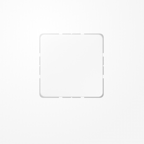 Jung CD594-0WW Blind-Abdeckung (gerastet), Thermoplast, Serie CD, alpinweiß