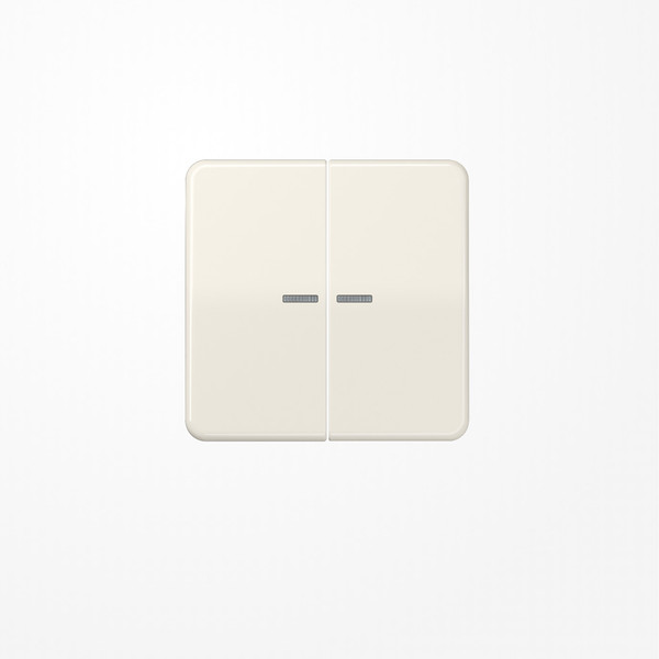 Jung CD595KO5 Wippe mit Lichtleiter, Duroplast, Serie CD, weiß