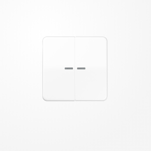 Jung CD595KO5BFWW Wippe mit Lichtleiter, Thermoplast, Serie CD, alpinweiß