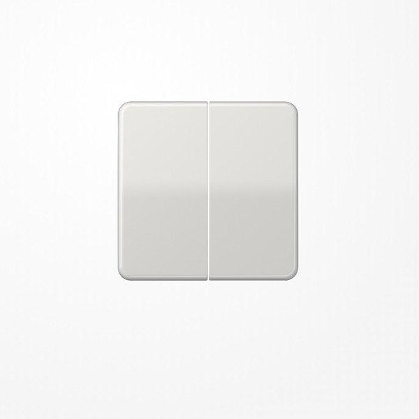 Jung CD595LG Wippe, Duroplast, Serie CD, lichtgrau