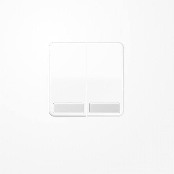 Jung CD595NAWW Wippe, mit Schriftfeld, Duroplast, Serie CD, alpinweiß