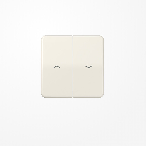 Jung CD595P Wippe, mit Pfeilsymbolen, Duroplast, Serie CD, weiß