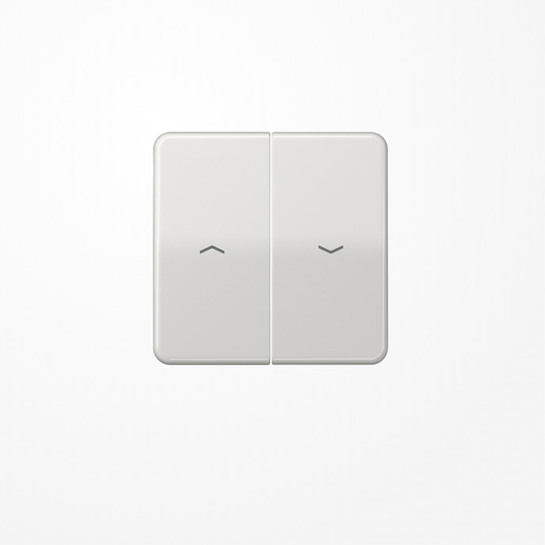 Jung CD595PBFLG Wippe, mit Pfeilsymbolen, Thermoplast, Serie CD, lichtgrau