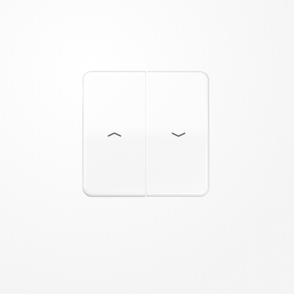 Jung CD595PBFWW Wippe, mit Pfeilsymbolen, Thermoplast, Serie CD, alpinweiß