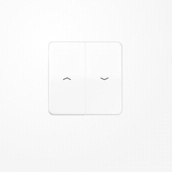 Jung CD595PWW Wippe, mit Pfeilsymbolen, Duroplast, Serie CD, alpinweiß