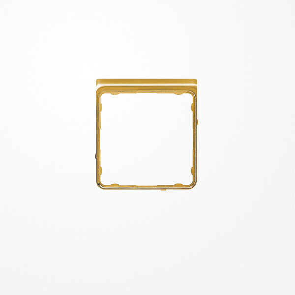 Jung CDP82GGO Applikations-Segment, CD PLUS, glanzgold (galvanisiert)