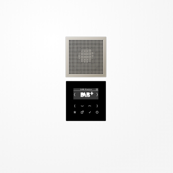 Jung DABES1 Smart Radio DAB+, Set Mono, Serie LS, Edelstahl