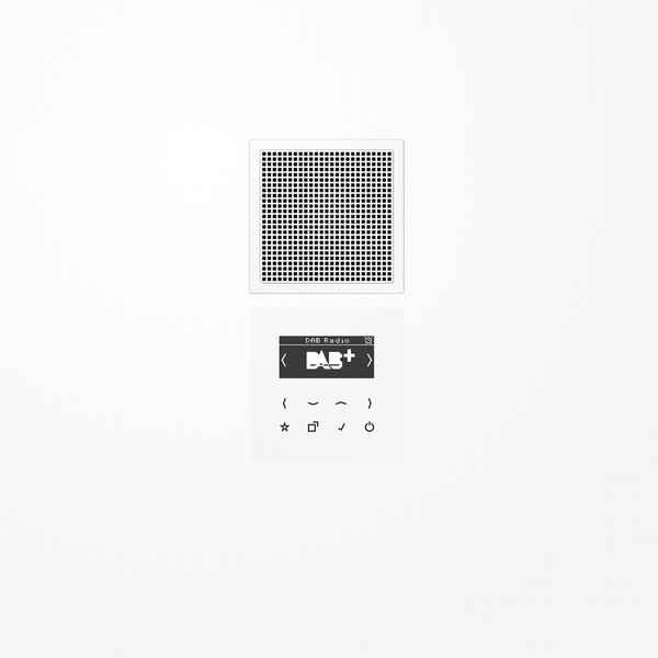 Jung DABLS1WW Smart Radio DAB+, Set Mono, Serie LS, alpinweiß