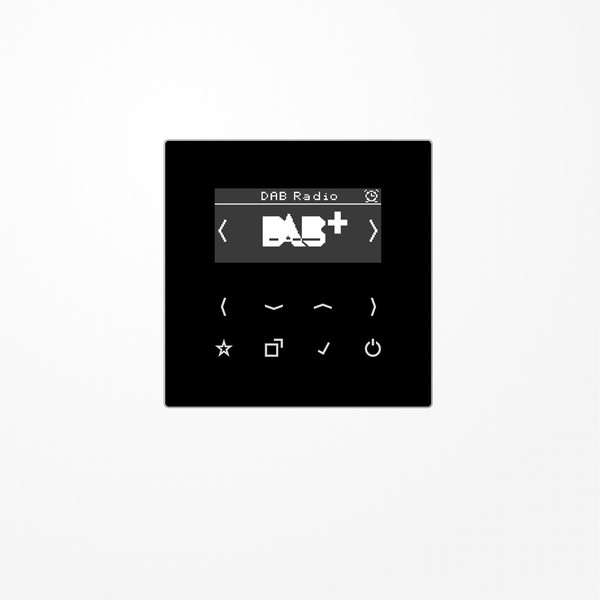 Jung DABLSSW Smart Radio DAB+, Serie LS, schwarz