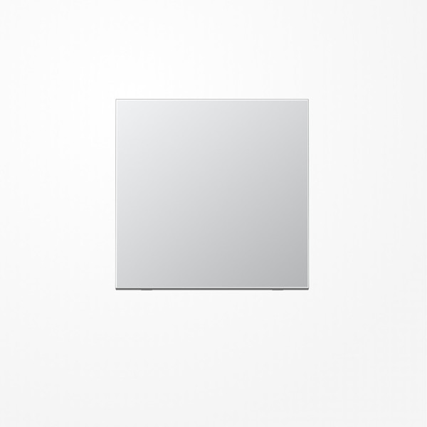 Jung ENOAL2990-L EnOcean Funk-Wandsender , 2-kanalig, Serie LS, Aluminium