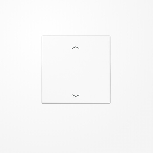 Jung ENOLS990PWW EnOcean Funk-Wandsender , 2-kanalig, mit Pfeilsymbolen, Serie LS, alpinweiß