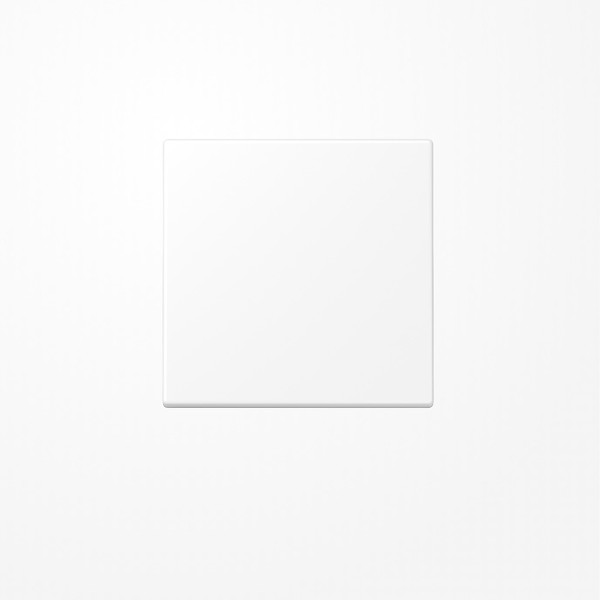 Jung ENOLS990WWM EnOcean Funk-Wandsender , 2-kanalig, Serie LS, schneeweiß matt