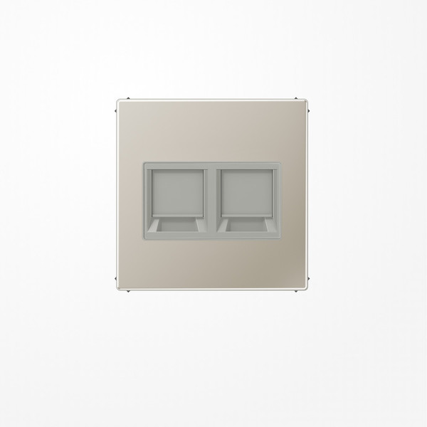 Jung ES1969-25WE Abdeckung (gerastet) für Modular-Jack-Steckbuchsen, 2fach, EMT, AMP, MTRJ, Serie LS, Edelstahl