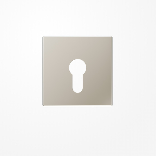 Jung ES2925 Abdeckung für Schlüsselschalter ohne Demontageschutz, Serie LS, Edelstahl