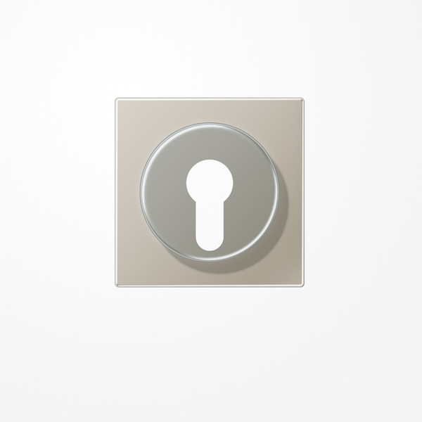 Jung ES2928 Abdeckung für Schlüsselschalter mit Demontageschutz, Serie LS, Edelstahl