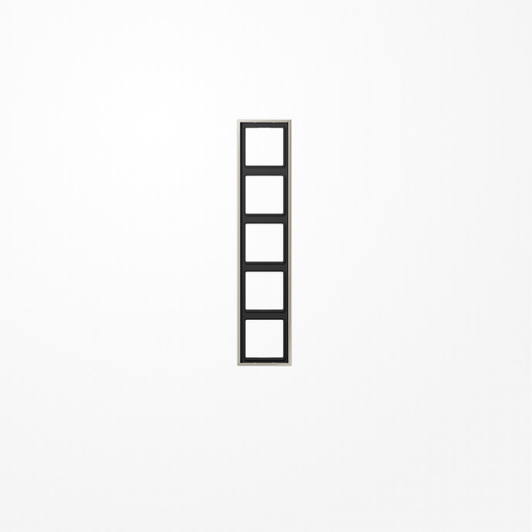 Jung ES2985 Rahmen 5fach, senkrechte und waagerechte Montage, LS 990, Edelstahl