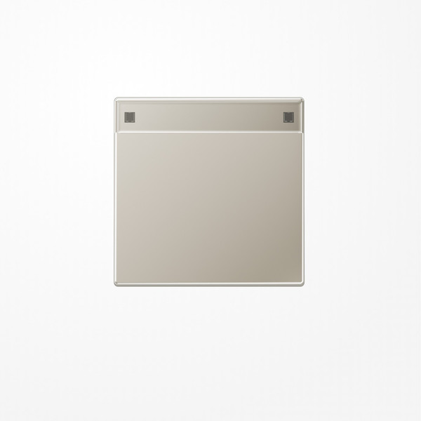 Jung ES2990NA Wippe, mit Schriftfeld, Serie LS, Edelstahl