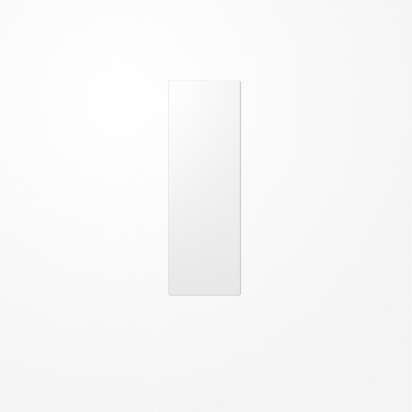 Jung ES2993WW Großflächenwippe (70x212,4mm), senkrechte und waagerechte Montage, Serie LS, alpinweiß