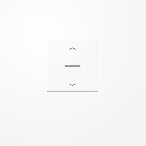 Jung FMAS1700PWW eNet Taster Standard 1fach, mit Pfeilsymbolen, Duroplast, Serie AS, alpinweiß
