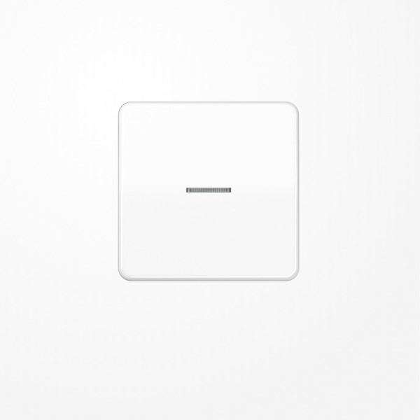 Jung FMCD1700WW eNet Taster Standard 1fach, Duroplast, Serie CD, alpinweiß