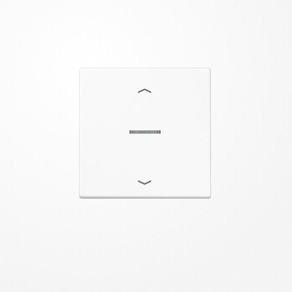 Jung FMLS1700PWW eNet Taster Standard 1fach, mit Pfeilsymbolen, Duroplast, Serie LS, alpinweiß