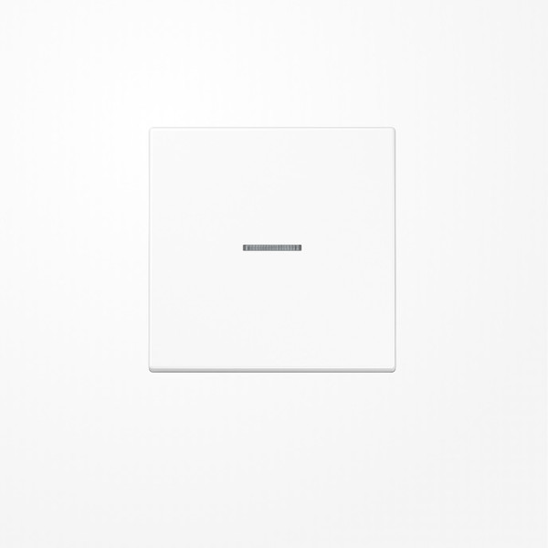 Jung FMLS1700WW eNet Taster Standard 1fach, Duroplast, Serie LS, alpinweiß