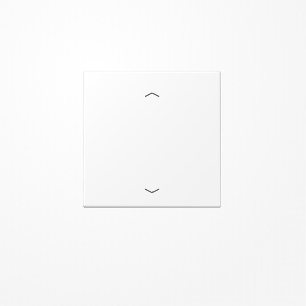 Jung LS101PWWM Wippe, mit Pfeilsymbolen für Taster 1fach, Duroplast lackiert, F10, Serie LS, schneeweiß matt