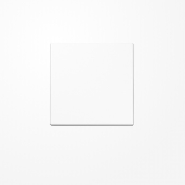 Jung LS101WW Wippe für Taster 1fach, Duroplast, F10, Serie LS, alpinweiß