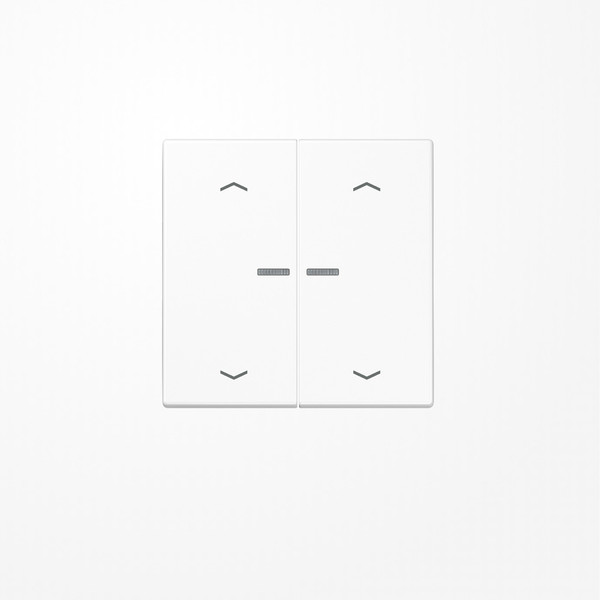 Jung LS102KO5PWW Wippe mit Lichtleiter, mit Pfeilsymbolen für Taster 2fach, Duroplast, F10, Serie LS, alpinweiß