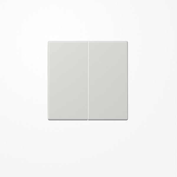 Jung LS102LG Wippe für Taster 2fach, Duroplast, F10, Serie LS, lichtgrau