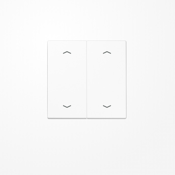 Jung LS102PWW Wippe, mit Pfeilsymbolen für Taster 2fach, Duroplast, F10, Serie LS, alpinweiß