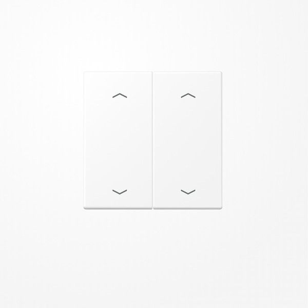 Jung LS102PWWM Wippe, mit Pfeilsymbolen für Taster 2fach, Duroplast lackiert, F10, Serie LS, schneeweiß matt