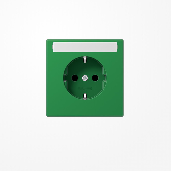 Jung LS1520BFKINAGN SCHUKO-Steckdose, 16 A 250 V ~, mit Schriftfeld, SAFETY+, Thermoplast, Serie LS, grün (für SV)