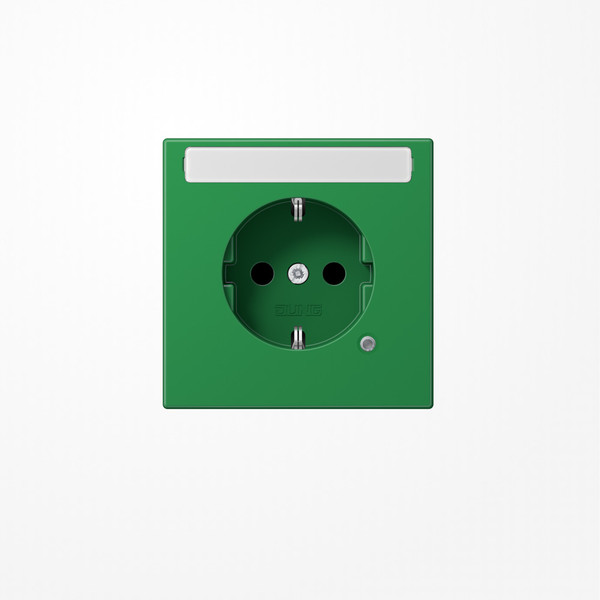 Jung LS1520BFNAKOGN SCHUKO-Steckdose, 16 A 250 V ~, mit Funktionsanzeige, mit Schriftfeld, SAFETY+, Thermoplast, Serie LS, grün (für SV)