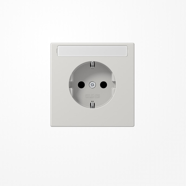 Jung LS1520NALG SCHUKO-Steckdose, 16 A 250 V ~, mit Schriftfeld, Duroplast, Serie LS, lichtgrau