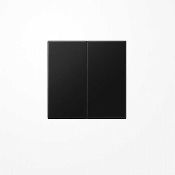 Jung LS1702SWM LB-Management Taster 2fach, Duroplast lackiert, Serie LS, graphitschwarz matt