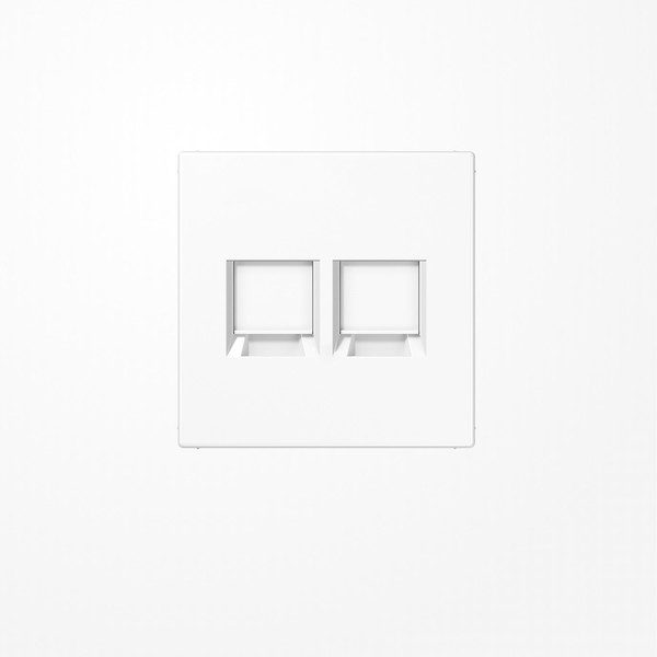 Jung LS1969-25WEWW Abdeckung (gerastet) für Modular-Jack-Steckbuchsen, 2fach, EMT, AMP, MTRJ, Serie LS, alpinweiß