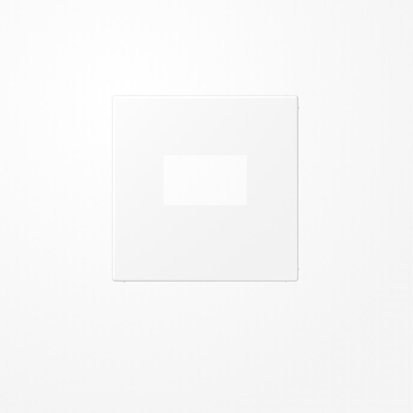 Jung LS1969USBWWM Abdeckung für USB-Ladegerät, (gerastet), Serie LS, schneeweiß matt