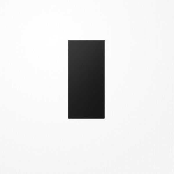 Jung LS50NASWM Abdeckung in Tastenfarbe, F50, Thermoplast lackiert, Serie LS, graphitschwarz matt