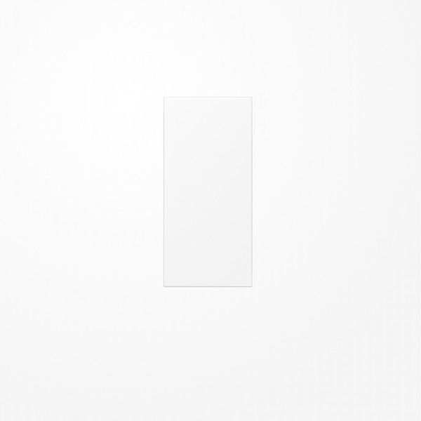 Jung LS50NAWWM Abdeckung in Tastenfarbe, F50, Thermoplast lackiert, Serie LS, schneeweiß matt